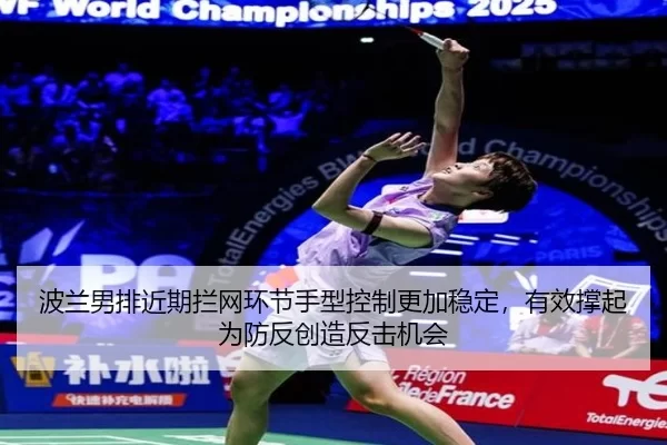 bo-lan-nan-pai-jin-qi-lan-wang-huan-jie-shou-xing-kong-zhi-geng-jia-wen-ding-you-xiao-cheng-qi-wei-fang-fan-chuang-zao-2-783.jpg